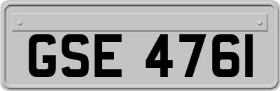 GSE4761