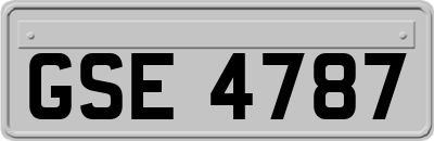 GSE4787
