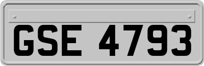 GSE4793