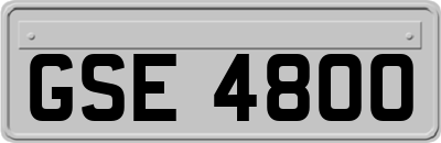 GSE4800
