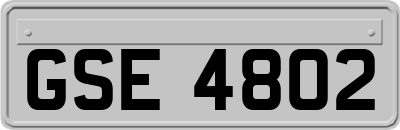 GSE4802