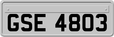 GSE4803