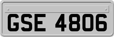 GSE4806
