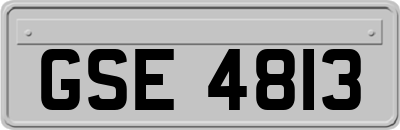 GSE4813
