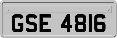 GSE4816