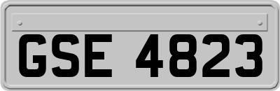 GSE4823