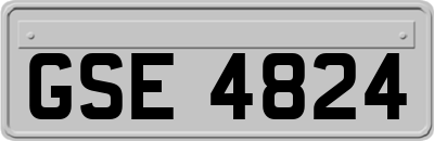 GSE4824