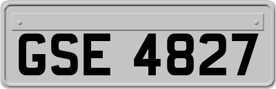 GSE4827