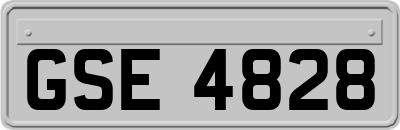 GSE4828