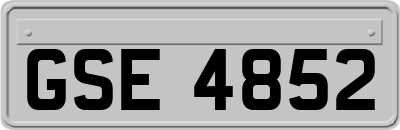 GSE4852