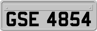 GSE4854