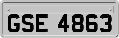 GSE4863