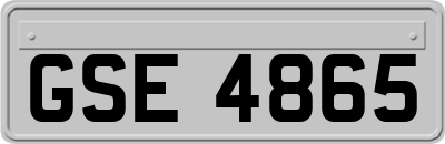 GSE4865