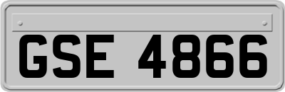 GSE4866