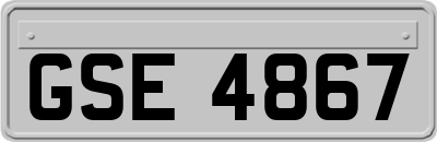 GSE4867