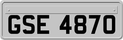 GSE4870