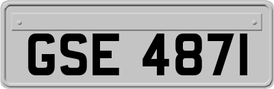 GSE4871