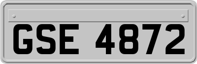 GSE4872