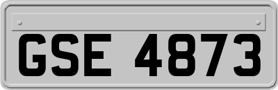 GSE4873