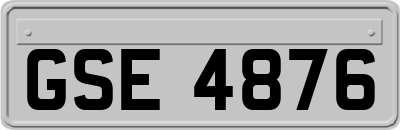GSE4876