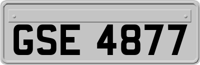 GSE4877