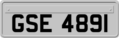 GSE4891