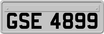 GSE4899