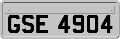 GSE4904