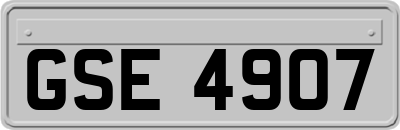GSE4907