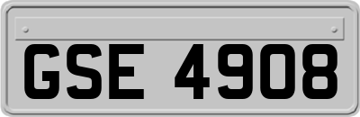 GSE4908