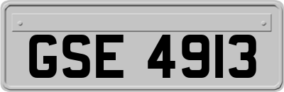 GSE4913
