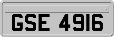 GSE4916
