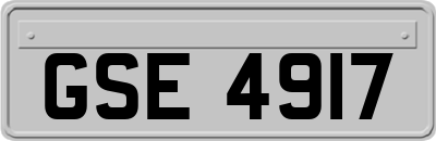 GSE4917