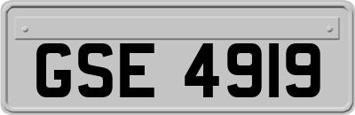 GSE4919