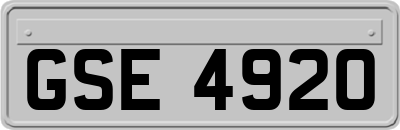 GSE4920