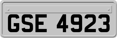 GSE4923