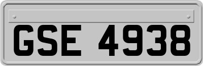 GSE4938