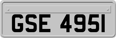 GSE4951