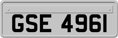 GSE4961