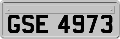 GSE4973