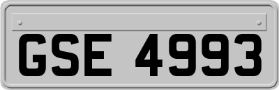 GSE4993