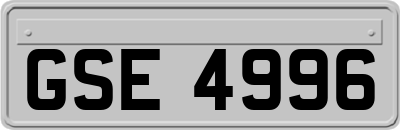 GSE4996