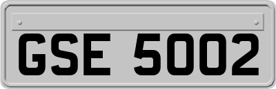 GSE5002