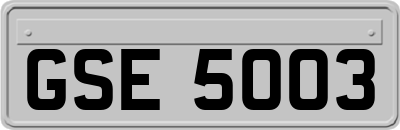 GSE5003