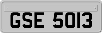 GSE5013