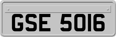 GSE5016