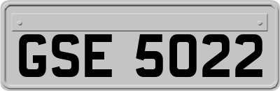 GSE5022