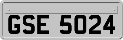 GSE5024
