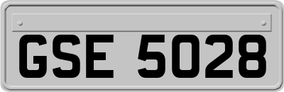 GSE5028