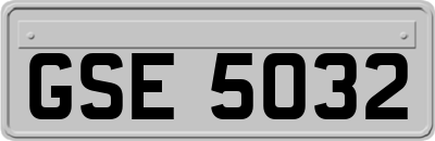 GSE5032